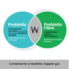 Wellbeing Nutrition Daily Probiotic + Prebiotic| Plant Based |36 Billion CFU, 6 Strains for Men &amp; Women with Organic Prebiotic Fiber for Digestion, Gut Health, Metabolism | 21 Tabs - NutraC - Health &amp; Nutrition Store 
