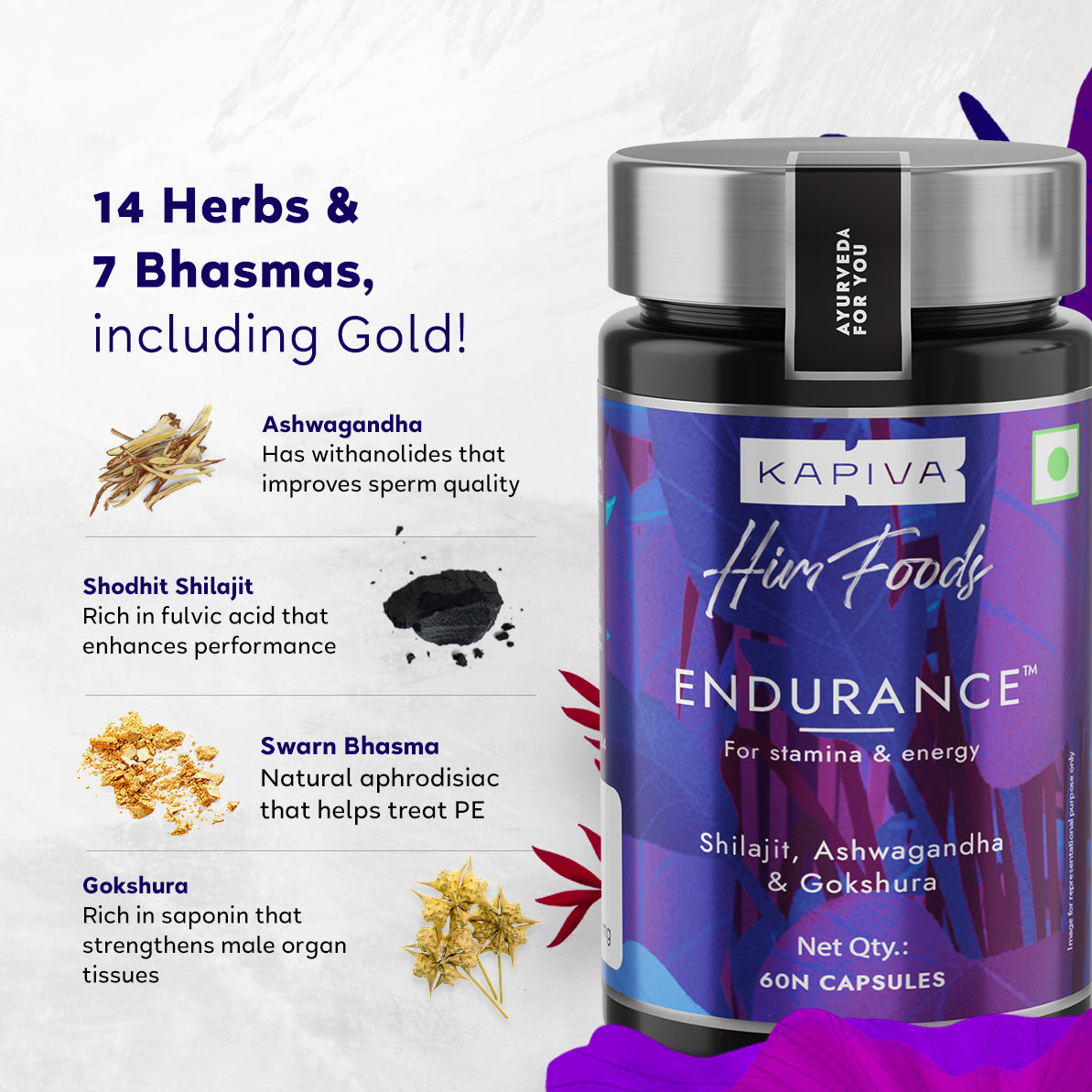 Kapiva Him Foods Endurance 60 Capsules
