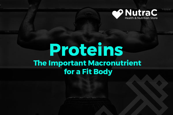 Proteins-The Important Macro nutrient for a Fit Body
