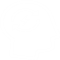 Brain & Memory