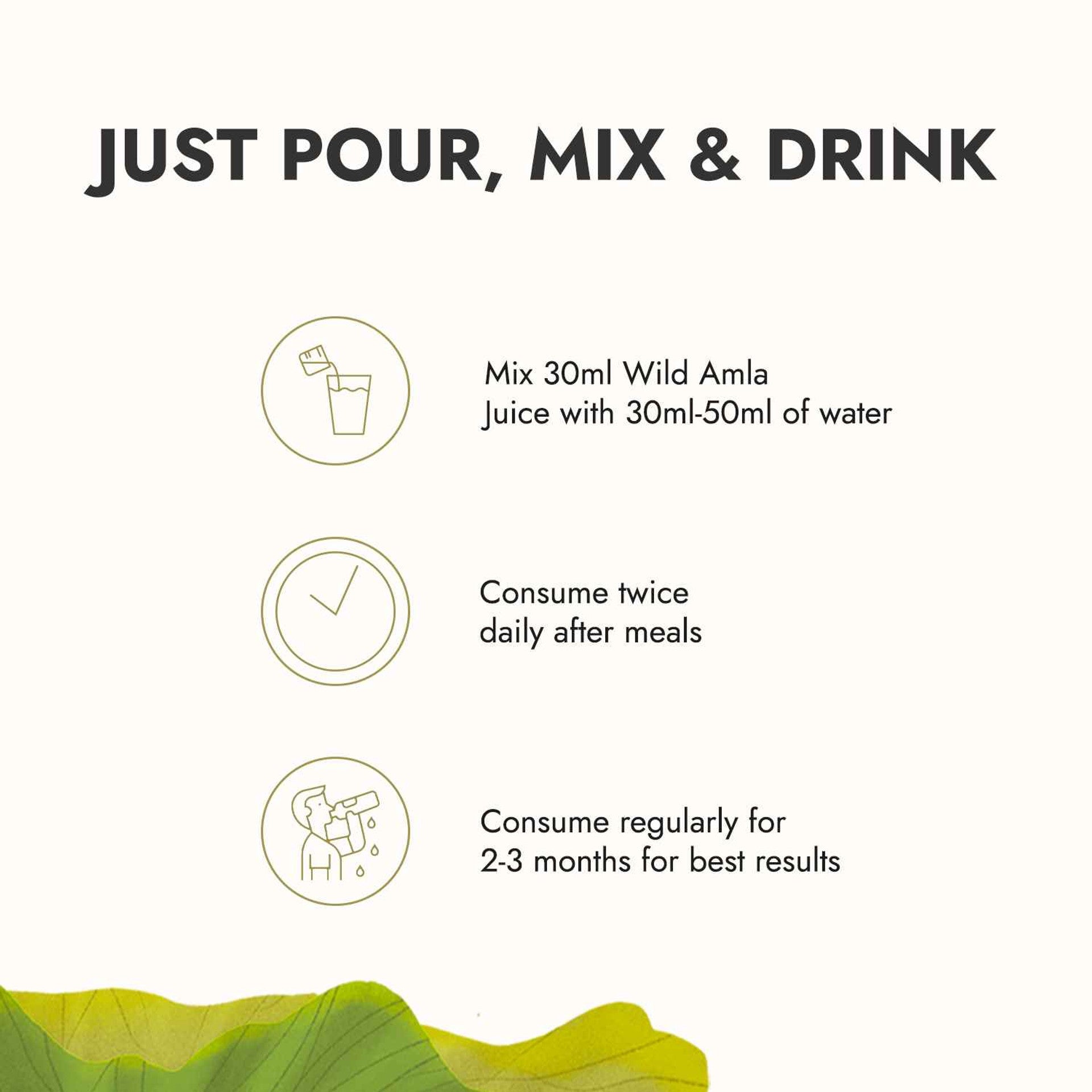 KAPIVA AMLA JUICE 1L