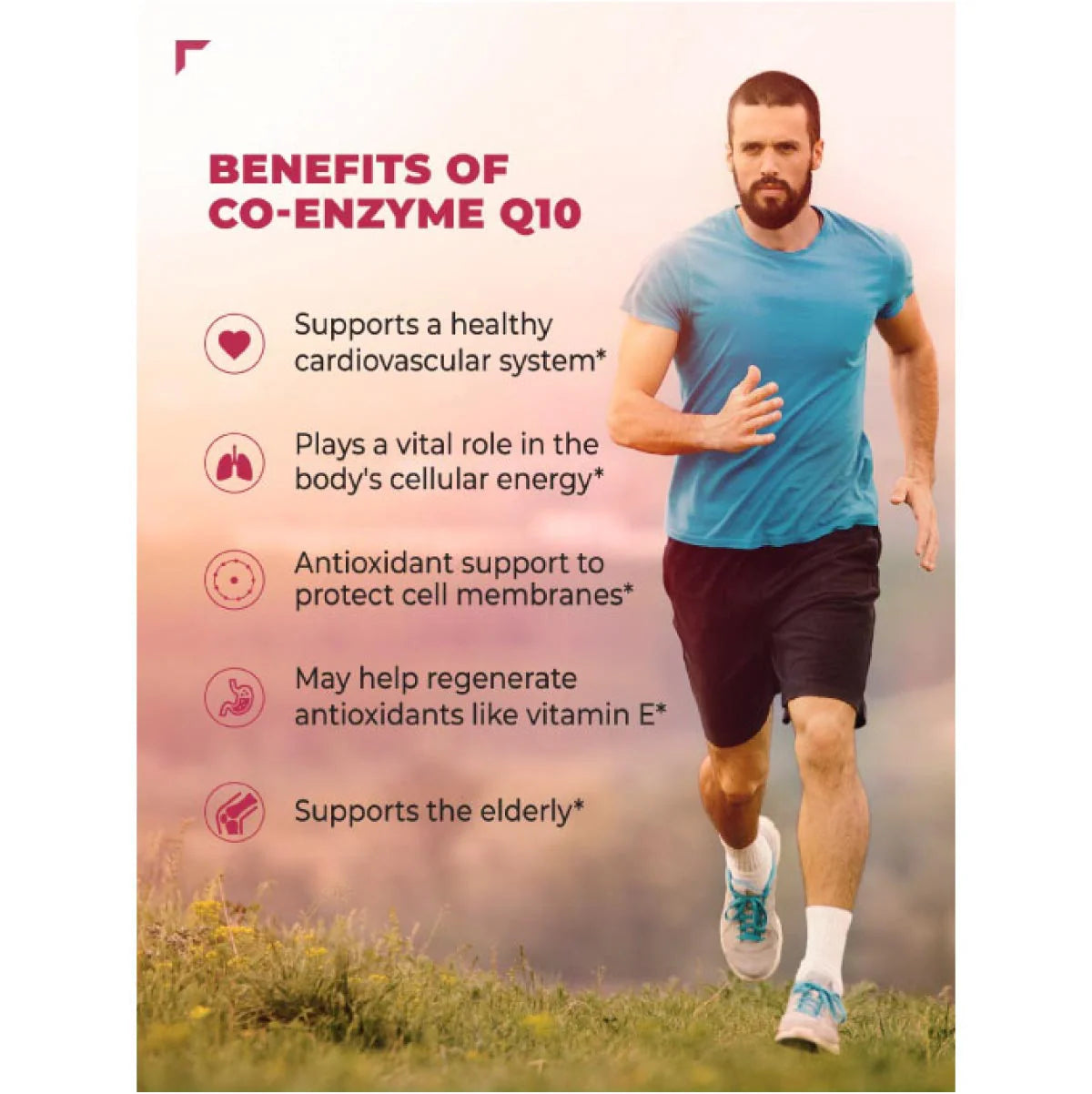 Swisse UB CoEnzyme Q10 150mg 50N