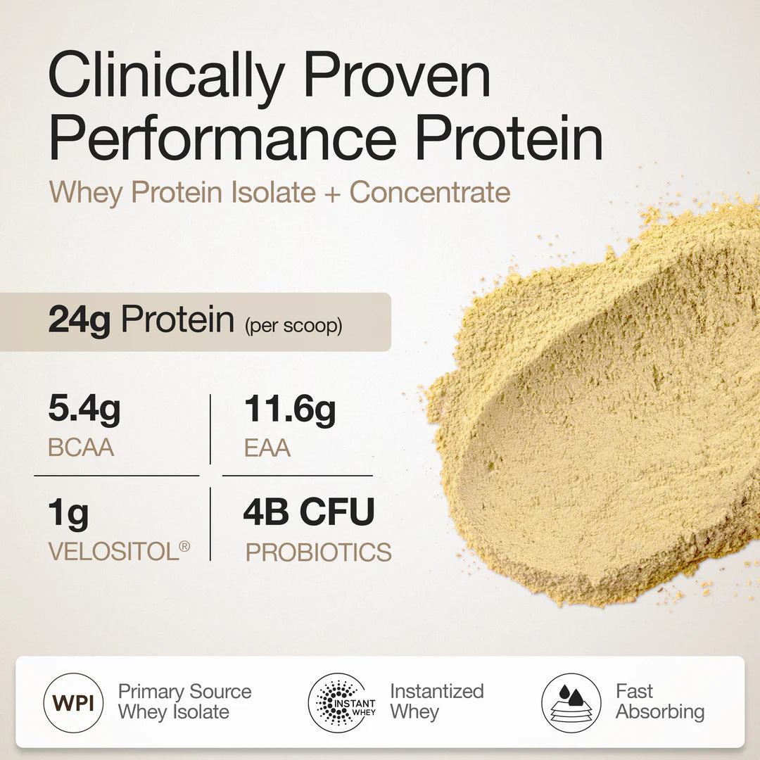 Wellbeing Whey Protein Isolate + Concentrate 24g | 1kg | 4B CFU Probiotics | Mango Flavoured