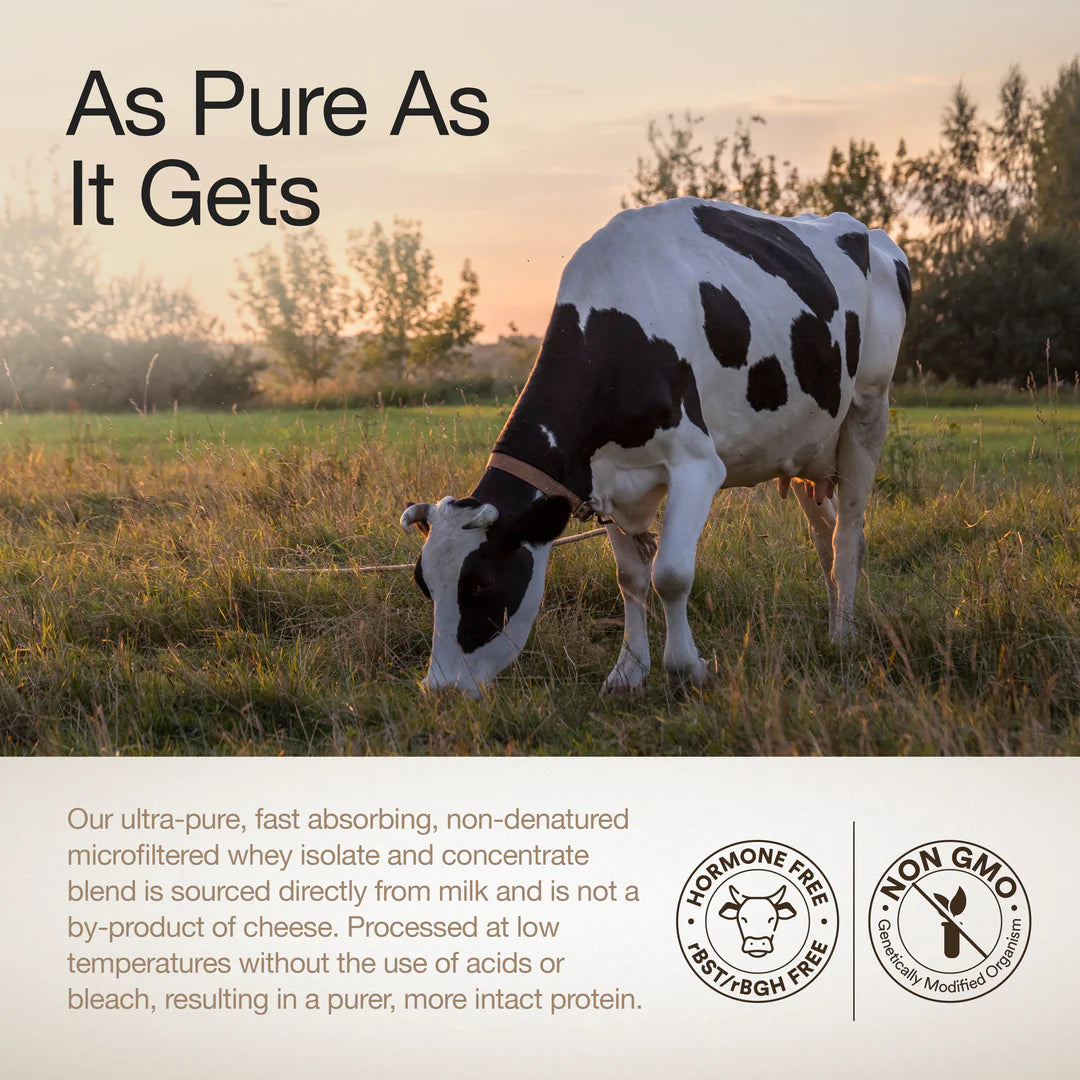 Wellbeing Whey Protein Isolate 26g | 1kg | 4B CFU Probiotics | Bourbon Vanilla