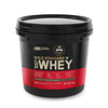 Optimum Nutrition (ON) Gold Standard 100% Whey Protein Powder - 4 kg (Double Rich Chocolate)