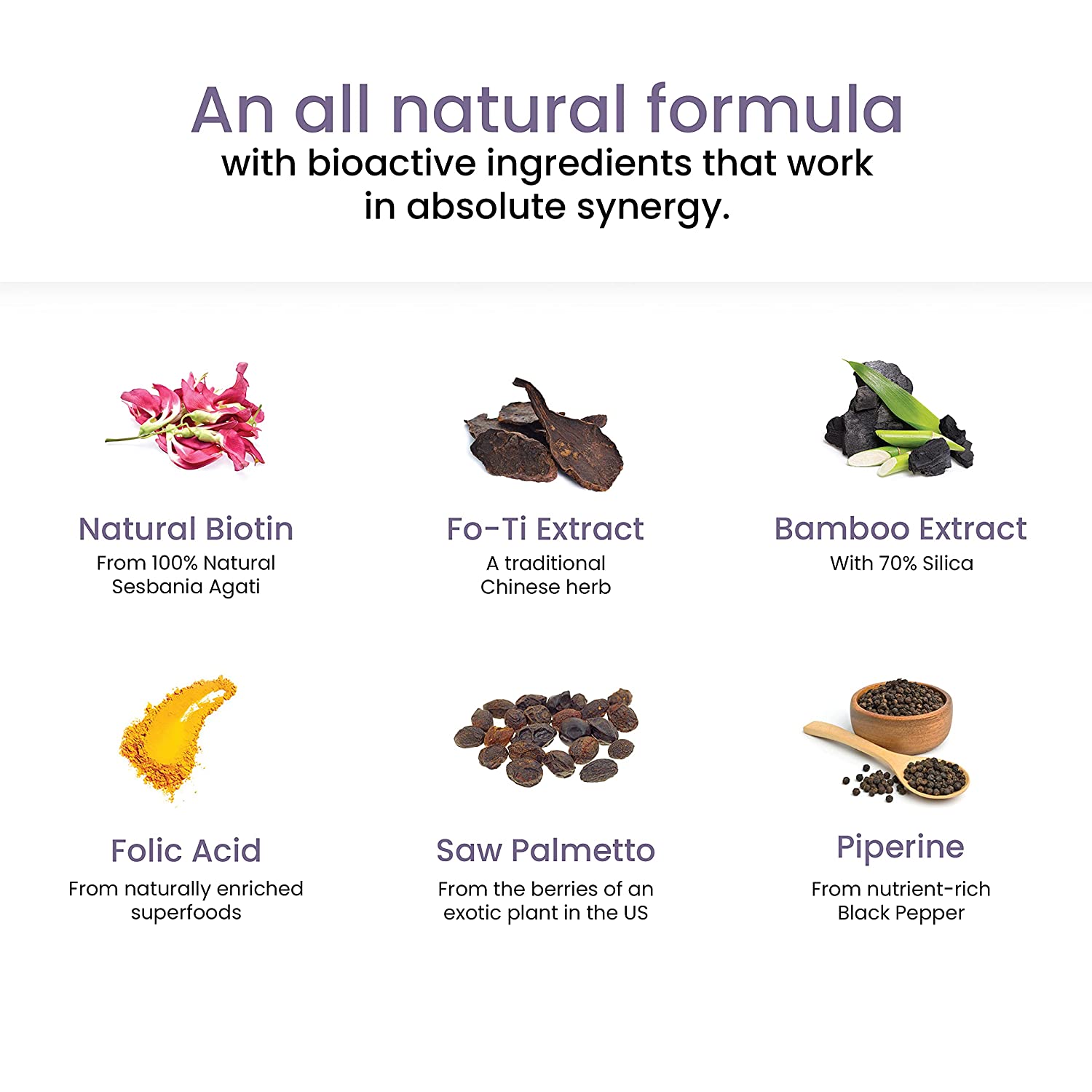 Wellbeing Nutrition Melts Healthy Hair with Plant Based Biotin 10000mcg+, Bamboo shoot, Fo-Ti, Saw Palmetto for Hair Nutrition, Hair fall, Premature Greying, Hair Growth - 30 Oral Thin Strips - NutraC - Health &amp; Nutrition Store 