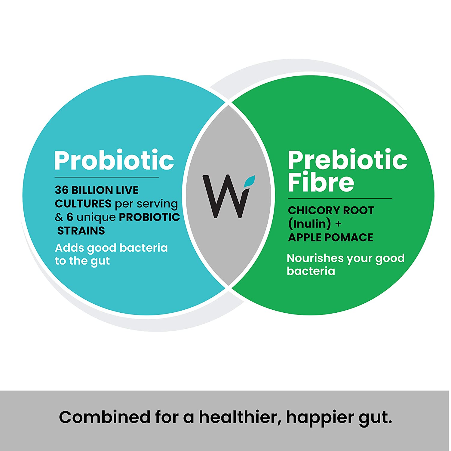 Wellbeing Nutrition Daily Probiotic + Prebiotic| Plant Based |36 Billion CFU, 6 Strains for Men &amp; Women with Organic Prebiotic Fiber for Digestion, Gut Health, Metabolism | 21 Tabs - NutraC - Health &amp; Nutrition Store 